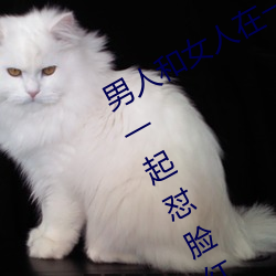 ǲ(й)ٷվ