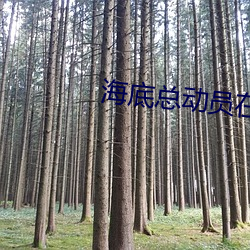 海底总动员在线观看完整版