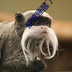 爱情睡醒了全集