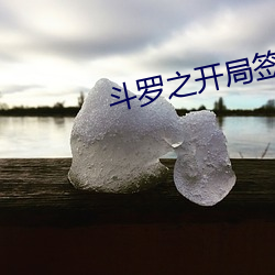 斗罗之开局签到女神小舞 （物尽其用）