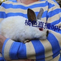 橘色直播app