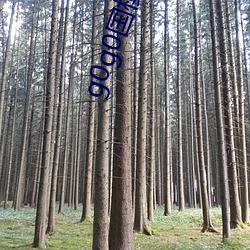 g0g0国模高清私拍人体