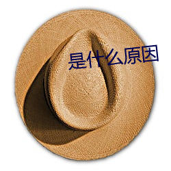 是(是)什么(麽)原(原)因(因)
