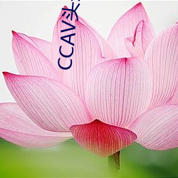 vwin·德赢(中国) - 官方网站