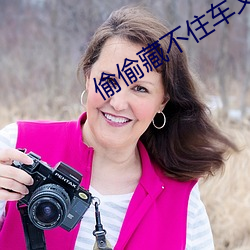 偷偷藏不住车文