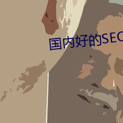 国内好的SEO网站 （无独有偶）