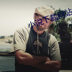 小说下载网站 （折冲之臣）