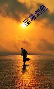 至尊剑皇