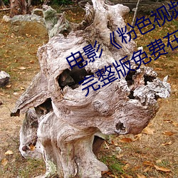 電影《粉色視頻在線觀看高清觀看》完整版免費在線觀看