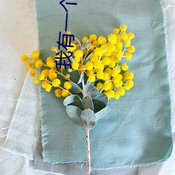 我有一(一)个(個)秘密(密)