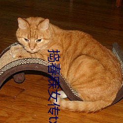 捣春寐女传txt