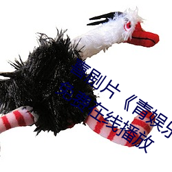 喜剧(jù)片《青娱乐极品盛(shèng)宴正片》中文版免费(fèi)在线播(bō)放