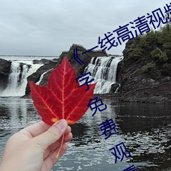 《一线高清视(shì)频在线观(guān)看》BD国语中字(zì)免费(fèi)观(guān)看视频