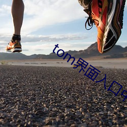 tom界面入口中轉