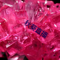 秋葵直播