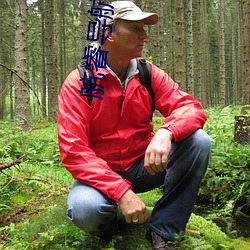 航睿导航官网