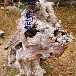 918博天堂·(中国)手机版客户端