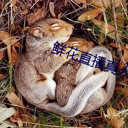 九游会登录j9入口 - 中国官方网站 | 真人游戏第一品牌
