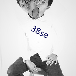 38se