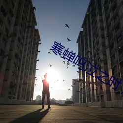 寒蝉鸣泣之时 煌