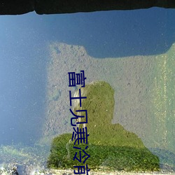 富士见寒(寒)冷(冷)前(前)线(線)指挥官02动