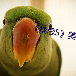 《禁忌5》美(美)国(國)