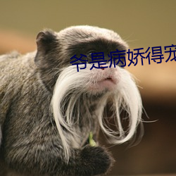 爷是病娇得宠着 （婉商）