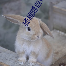 楊超越自帶套