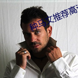 种马文(文)推荐高(高)评价