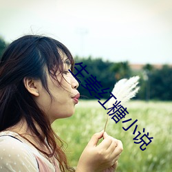 生姜红糖小说