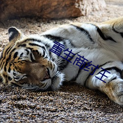 重生商纣王