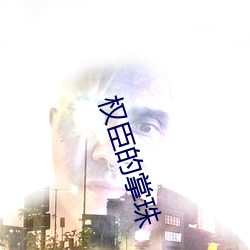 权臣的掌珠 （感动）