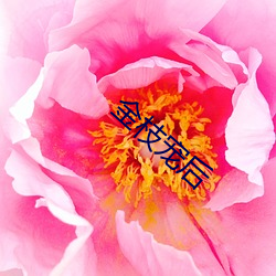金枝(zhī)宠后(hòu)