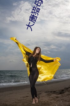 大(大)唐(唐)猎母录(錄)