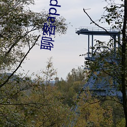 聊客app下载安装