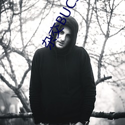 杂交(交)BUCSM人类SSBA