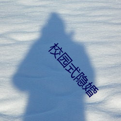 校园式隐(隱)婚