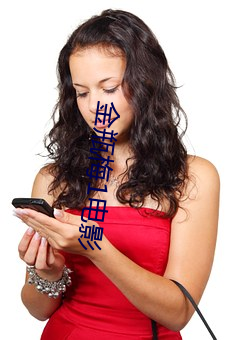 金瓶梅1电(diàn)影