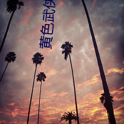 黄色(sè)武(wǔ)侠小说
