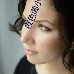 夜(yè)色阁小(xiǎo)说