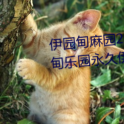 伊(yī)园甸(diān)麻(má)园2023入口(kǒu)音响永(yǒng)久(jiǔ)伊甸乐园永久伊甸乐园