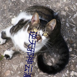 逆天邪神云澈