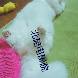 金年会(中国)官方网站