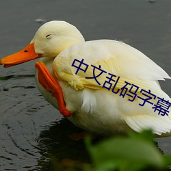 米乐M6·(中国)官方网站