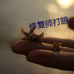 修(修)复师打眼