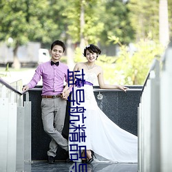 藍導航精品導航