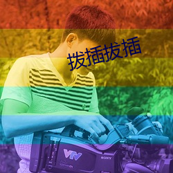 拨插拔插 （雕虫小艺）