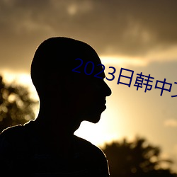 2023日韩中文字幕MV