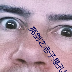 亮剑之老子是孔捷
