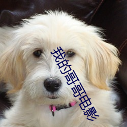 我的哥哥电影